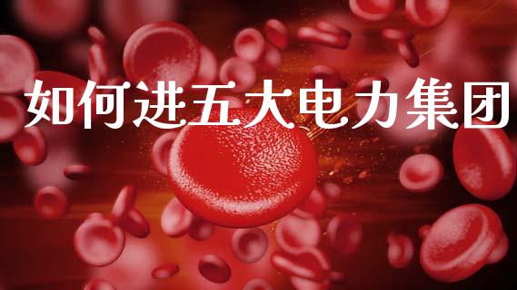 如何进五大电力集团_https://wap.letulww.com_投资管理_第1张