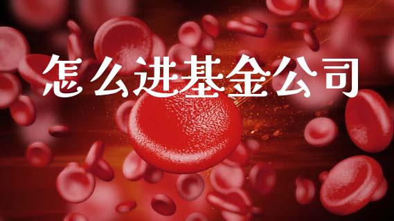 怎么进基金公司_https://wap.letulww.com_投资策略_第1张