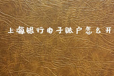 上海银行电子账户怎么开_https://wap.letulww.com_融资租赁_第1张
