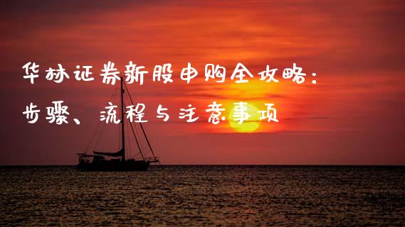 华林证券新股申购全攻略：步骤、流程与注意事项_https://wap.letulww.com_投资管理_第1张