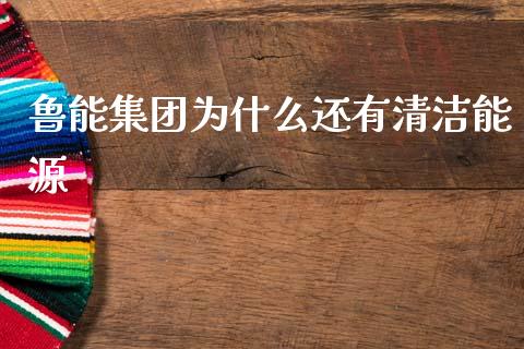 鲁能集团为什么还有清洁能源_https://wap.letulww.com_外汇交易_第1张
