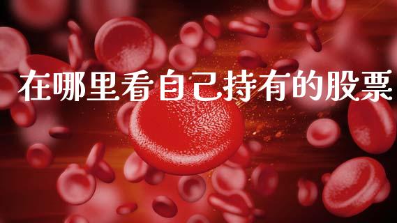 在哪里看自己持有的股票_https://wap.letulww.com_投资管理_第1张