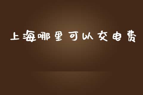 上海哪里可以交电费_外汇交易_第1张_外汇交易_投资策略_融资租赁_投资管理 上海哪里可以交电费_https://wap.letulww.com_外汇交易_第1张