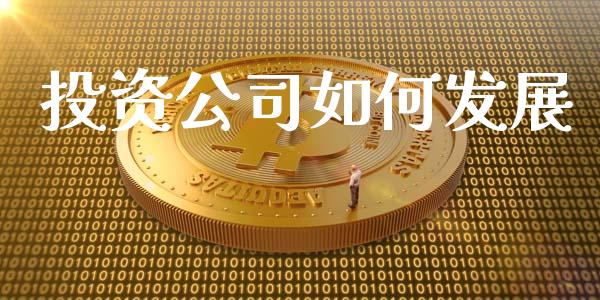 投资公司如何发展_https://wap.letulww.com_投资管理_第1张