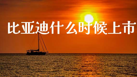 比亚迪什么时候上市_https://wap.letulww.com_外汇交易_第1张