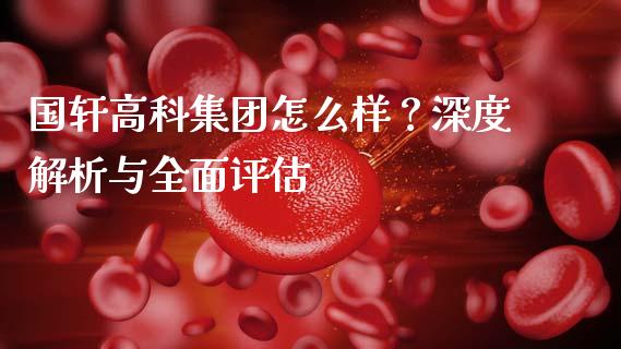 国轩高科集团怎么样？深度解析与全面评估_https://wap.letulww.com_外汇交易_第1张