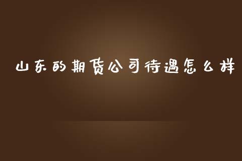 山东的期货公司待遇怎么样_https://wap.letulww.com_投资管理_第1张