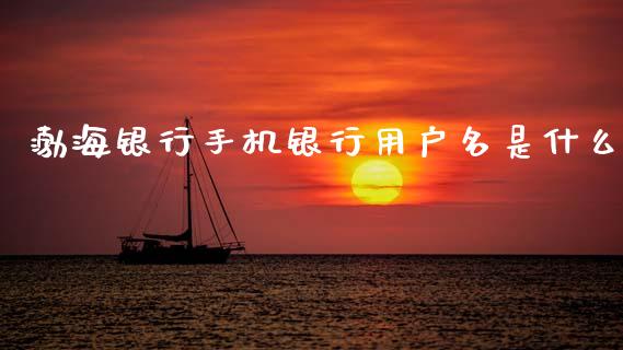 渤海银行手机银行用户名是什么_https://wap.letulww.com_投资管理_第1张