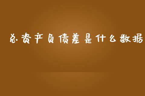 总资产负债差是什么数据_https://wap.letulww.com_融资租赁_第1张