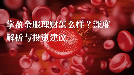 掌盈金服理财怎么样？深度解析与投资建议_https://wap.letulww.com_投资管理_第1张