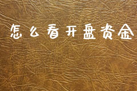 怎么看开盘资金_https://wap.letulww.com_融资租赁_第1张