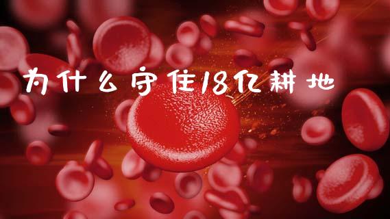 为什么守住18亿耕地_https://wap.letulww.com_外汇交易_第1张