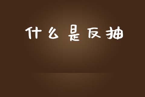 什么是反抽_https://wap.letulww.com_投资策略_第1张