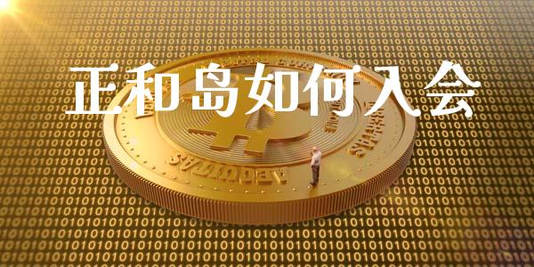正和岛如何入会_https://wap.letulww.com_投资策略_第1张