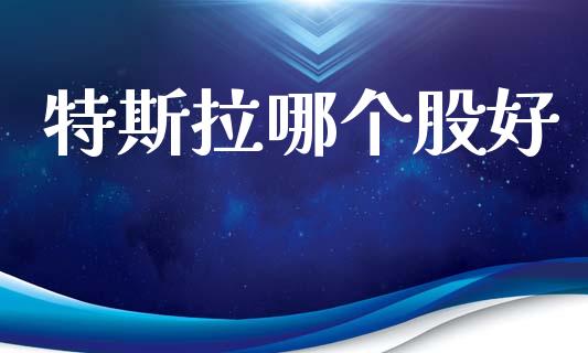 特斯拉哪个股好_https://wap.letulww.com_外汇交易_第1张