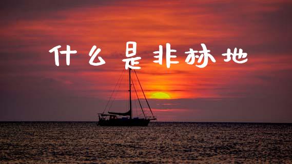 什么是非林地_https://wap.letulww.com_投资管理_第1张