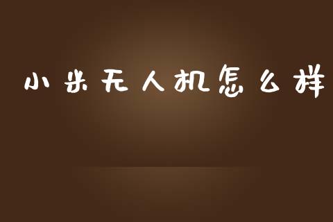 小米无人机怎么样_https://wap.letulww.com_投资管理_第1张