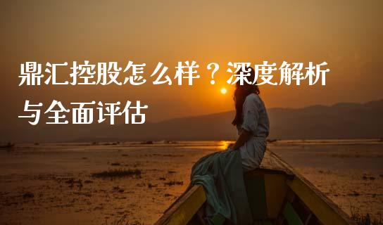 鼎汇控股怎么样？深度解析与全面评估_https://wap.letulww.com_融资租赁_第1张