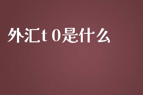 外汇t 0是什么_https://wap.letulww.com_投资策略_第1张