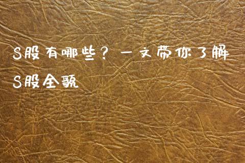 S股有哪些？一文带你了解S股全貌_https://wap.letulww.com_投资管理_第1张
