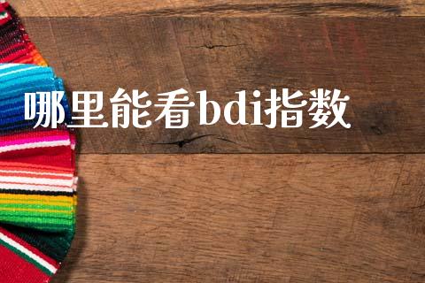 哪里能看bdi指数_https://wap.letulww.com_投资管理_第1张