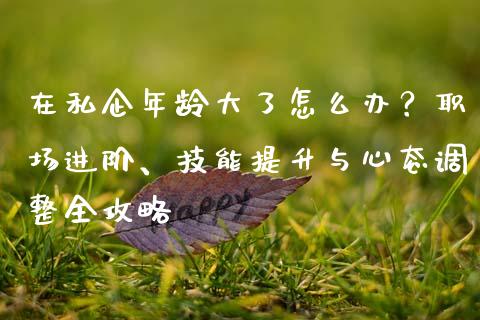 在私企年龄大了怎么办？职场进阶、技能提升与心态调整全攻略_https://wap.letulww.com_投资策略_第1张