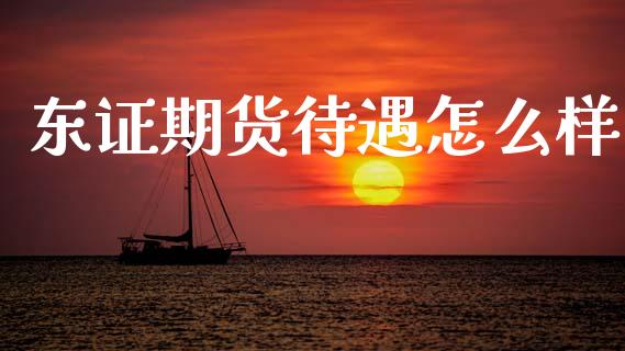 东证期货待遇怎么样_https://wap.letulww.com_投资管理_第1张
