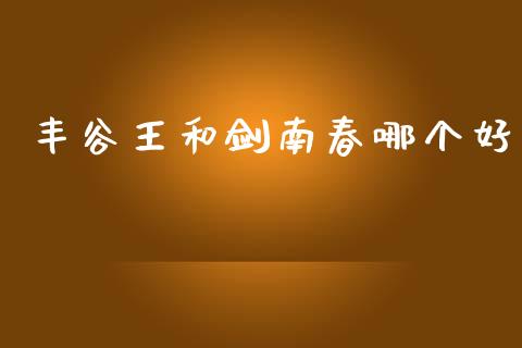 丰谷王和剑南春哪个好_https://wap.letulww.com_融资租赁_第1张