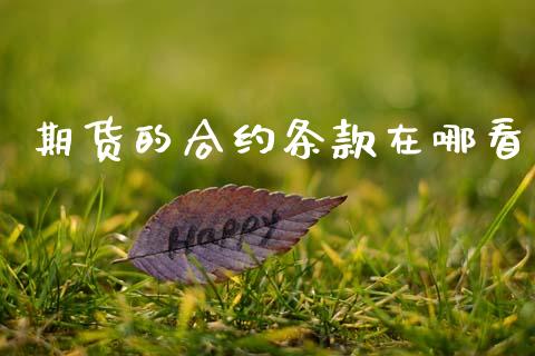 期货的合约条款在哪看_https://wap.letulww.com_投资策略_第1张