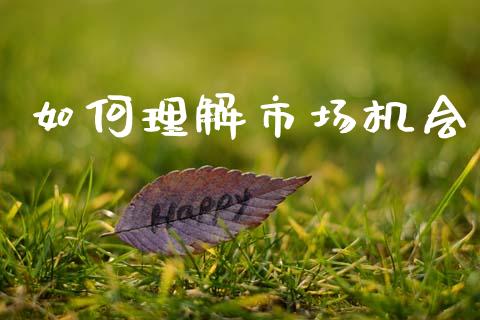 如何理解市场机会_https://wap.letulww.com_投资策略_第1张