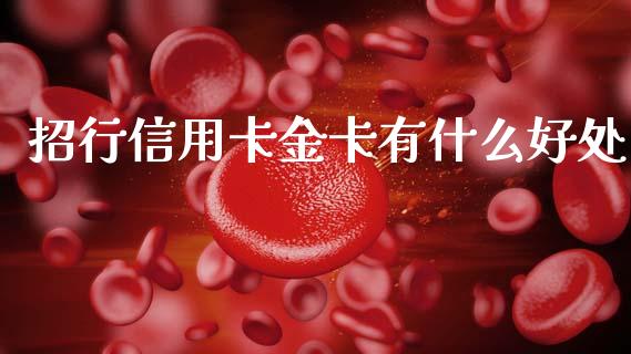 招行信用卡金卡有什么好处_https://wap.letulww.com_融资租赁_第1张