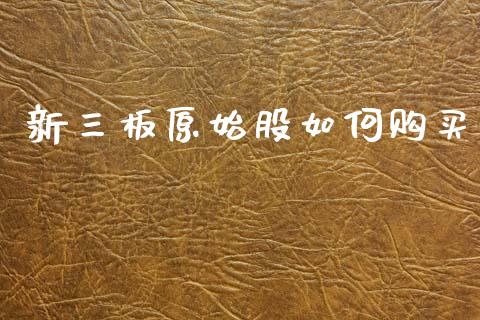 新三板原始股如何购买_https://wap.letulww.com_融资租赁_第1张