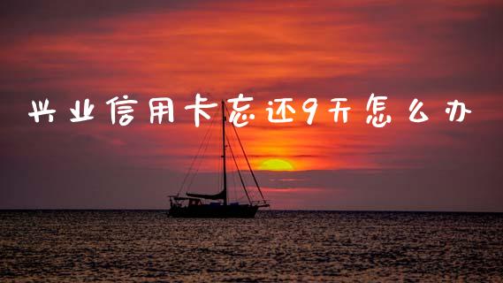 兴业信用卡忘还9天怎么办_https://wap.letulww.com_投资管理_第1张