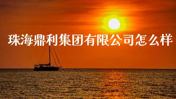 珠海鼎利集团有限公司怎么样_https://wap.letulww.com_融资租赁_第1张