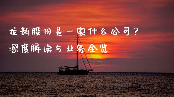 龙韵股份是一家什么公司？深度解读与业务全览_https://wap.letulww.com_投资策略_第1张