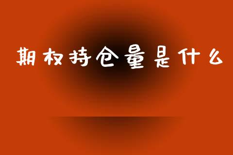 期权持仓量是什么_投资策略_第1张_外汇交易_投资策略_融资租赁_投资管理 期权持仓量是什么_https://wap.letulww.com_投资策略_第1张