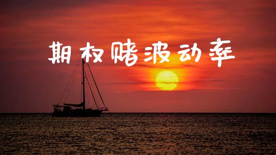 期权赌波动率_https://wap.letulww.com_投资策略_第1张