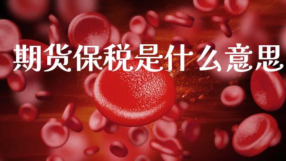 期货保税是什么意思_https://wap.letulww.com_融资租赁_第1张