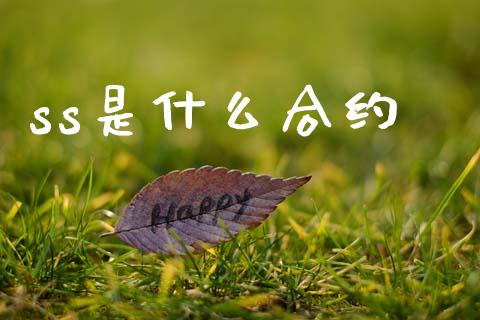 ss是什么合约_投资管理_第1张_外汇交易_投资策略_融资租赁_投资管理 ss是什么合约_https://wap.letulww.com_投资管理_第1张