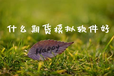什么期货模拟软件好_https://wap.letulww.com_外汇交易_第1张