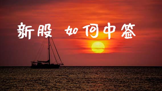 新股 如何中签_https://wap.letulww.com_外汇交易_第1张