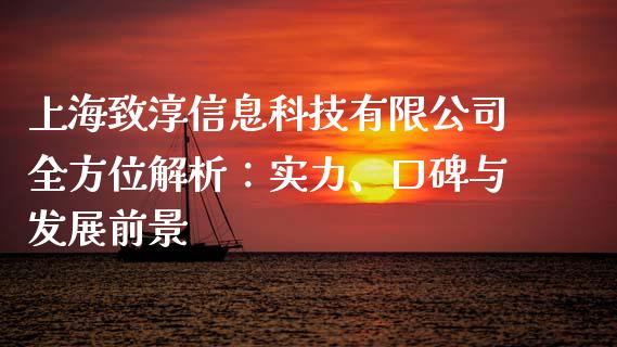 上海致淳信息科技有限公司全方位解析：实力、口碑与发展前景_https://wap.letulww.com_融资租赁_第1张