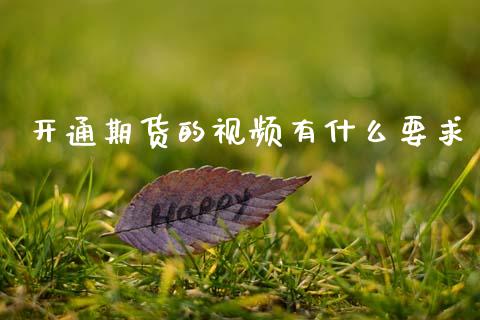 开通期货的视频有什么要求_https://wap.letulww.com_投资管理_第1张
