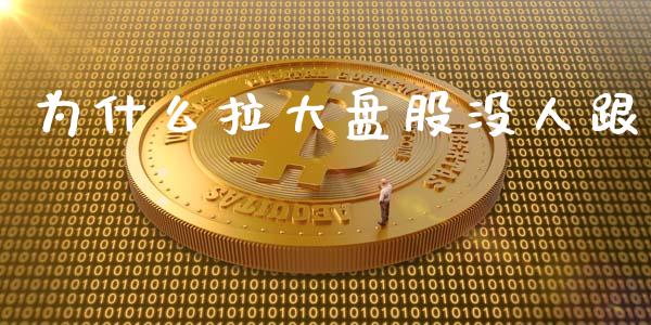 为什么拉大盘股没人跟_https://wap.letulww.com_外汇交易_第1张