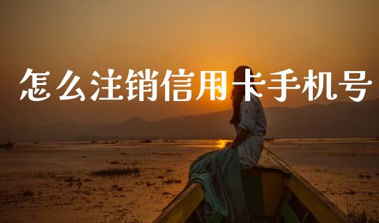 怎么注销信用卡手机号_https://wap.letulww.com_融资租赁_第1张