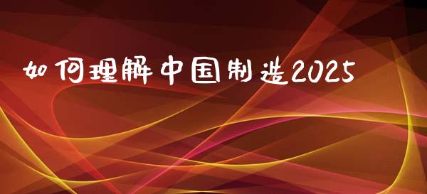 如何理解中国制造2025_https://wap.letulww.com_投资管理_第1张