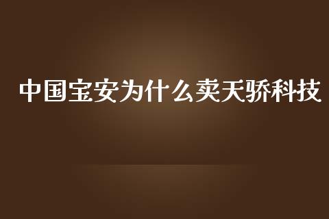 中国宝安为什么卖天骄科技_https://wap.letulww.com_投资管理_第1张