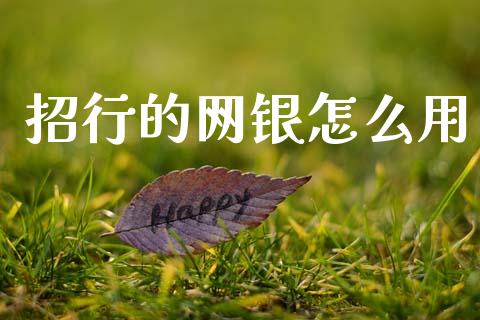 招行的网银怎么用_https://wap.letulww.com_投资策略_第1张