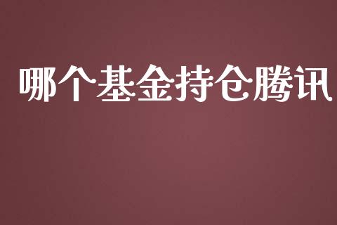 哪个基金持仓腾讯_https://wap.letulww.com_投资管理_第1张