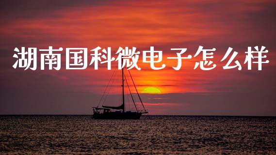 湖南国科微电子怎么样_https://wap.letulww.com_投资策略_第1张